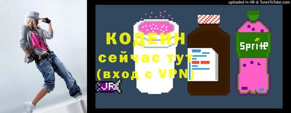 ешки Арсеньев