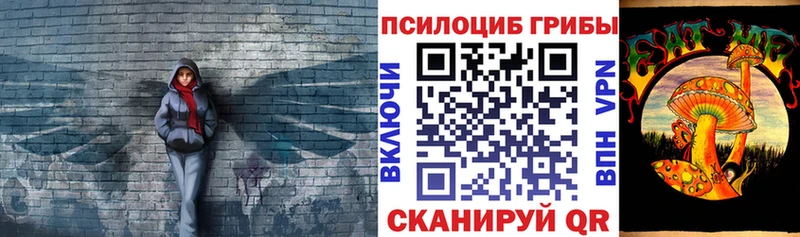 Купить  Кедровый  Псилоцибиновые грибы Psilocybe 
