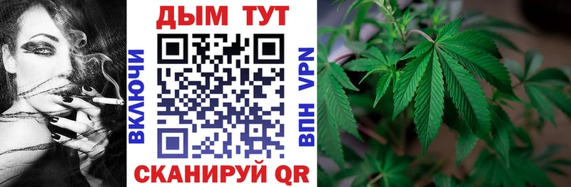 Шишки марихуана AK-47  Купить  Кедровый 
